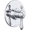Polished Chrome