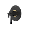 Matte Black / Antique Gold