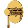 Unlacquered Brass