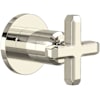 Polished Nickel