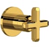 Unlacquered Brass