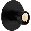 Matte Black / Satin Nickel