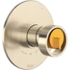 Satin Nickel / Satin Gold