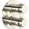 Polished Nickel