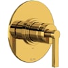 Unlacquered Brass