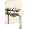 Polished Nickel