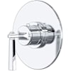 Polished Chrome