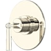 Polished Nickel