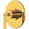Unlacquered Brass