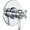 Polished Chrome