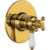 Unlacquered Brass