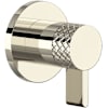 Polished Nickel