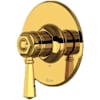 Unlacquered Brass