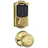 Polished Brass