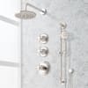 Polished Nickel