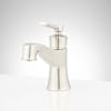 Polished Nickel