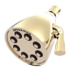 Polished Brass