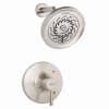 Brushed Nickel