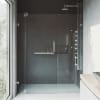 Clear / Brushed Nickel