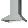 Arctic Grey