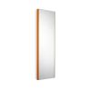 Mirrored Glass / Orange Frame