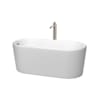 Matte White / Brushed Nickel Trim