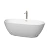 Matte White / Brushed Nickel Trim