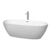 Matte White / Brushed Nickel Trim