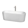 White / Brushed Nickel Trim