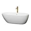 White / Shiny White Trim / Brushed Gold Faucet