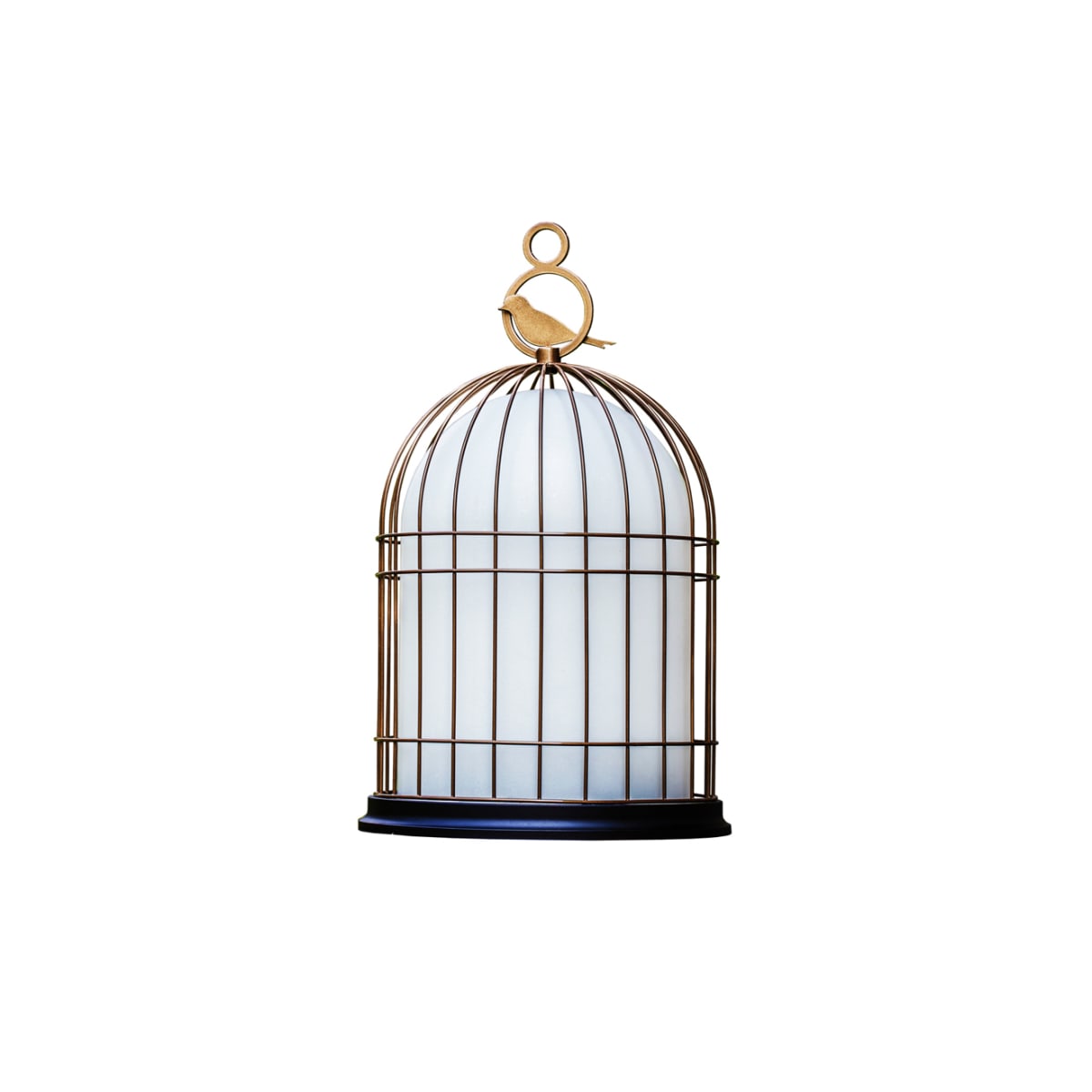 Contardi Acam 001706 Bronze Lacquered Dark Brown Birdcage