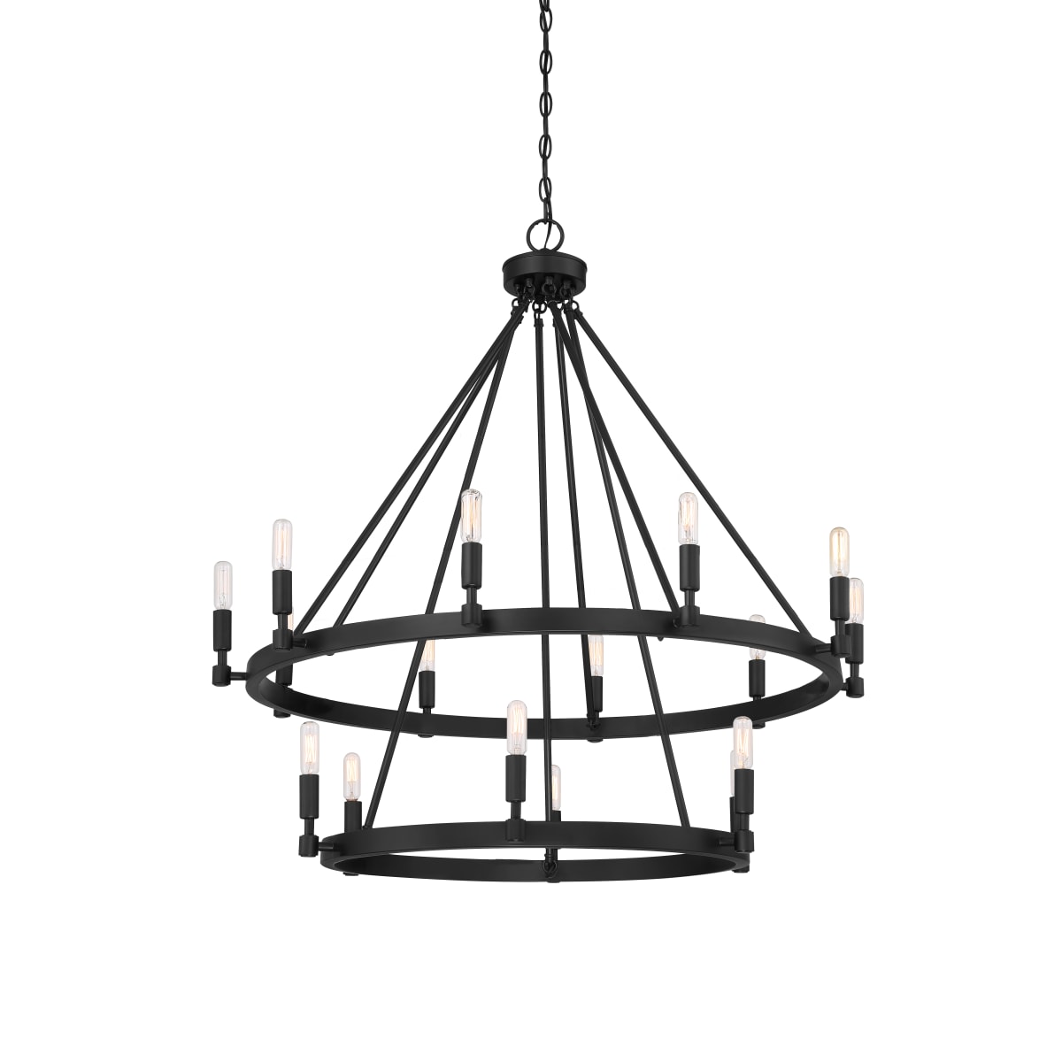 Designers Fountain 925816-BK Black Fiora 16 Light 36