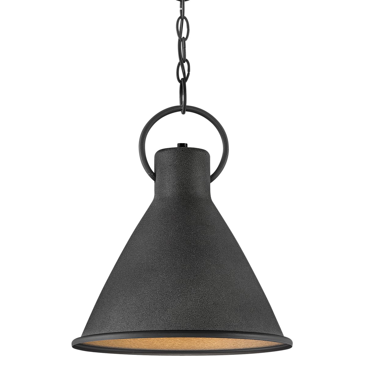 【H.K.R⭐︎】 Hinkley Lighting 3557DZ Aged Zinc / Distressed Black Winnie