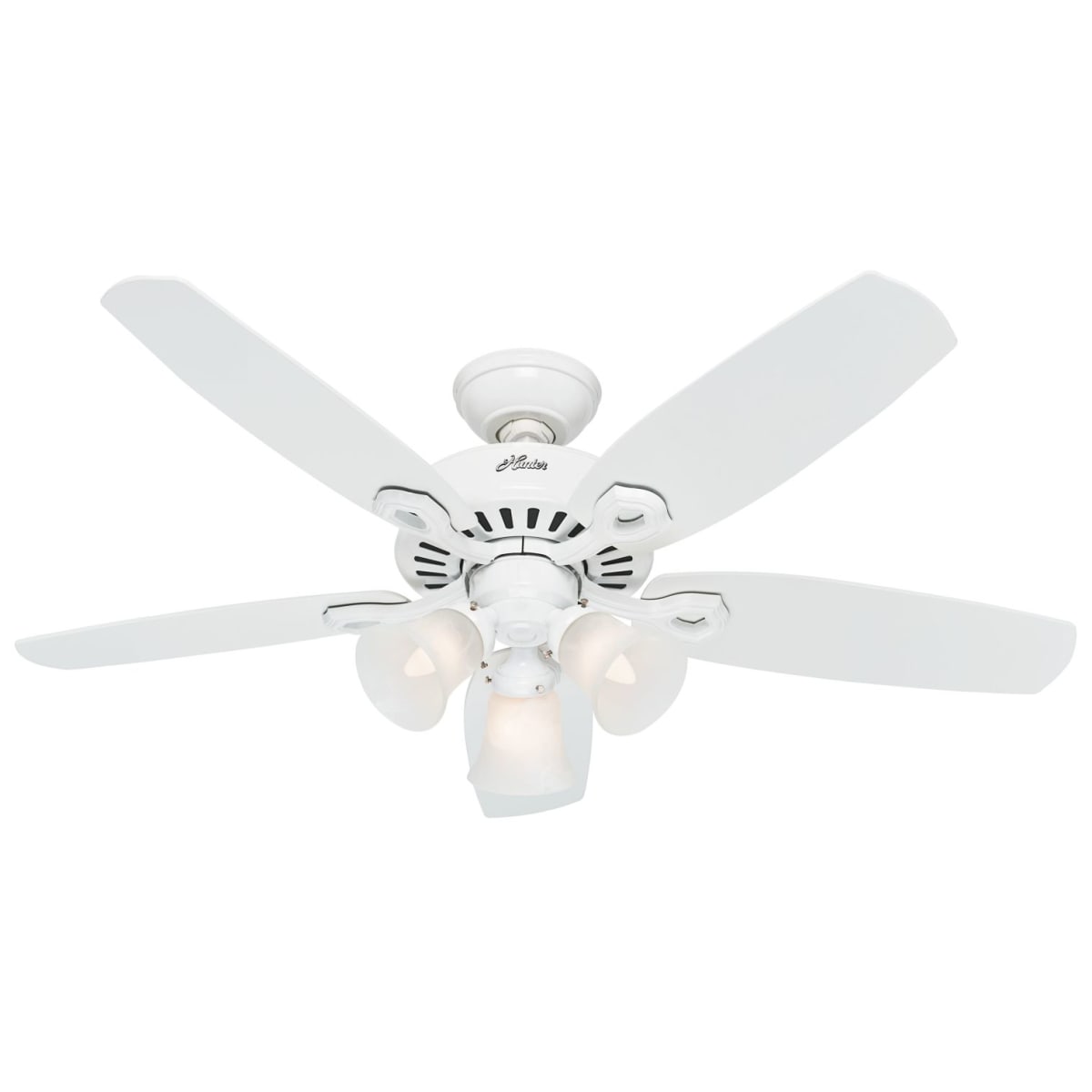 Indoor Ceiling Fan 