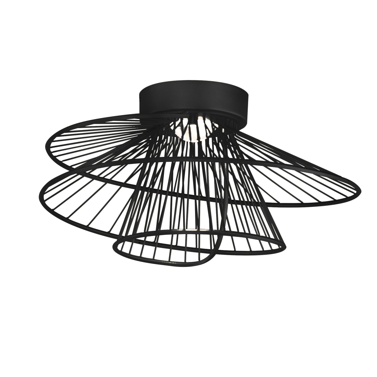 Maxim 24170BK Black Zeta 20
