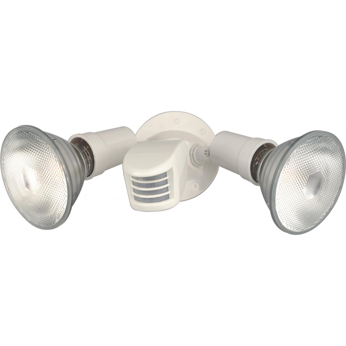 Nuvo lighting outlet light flood light