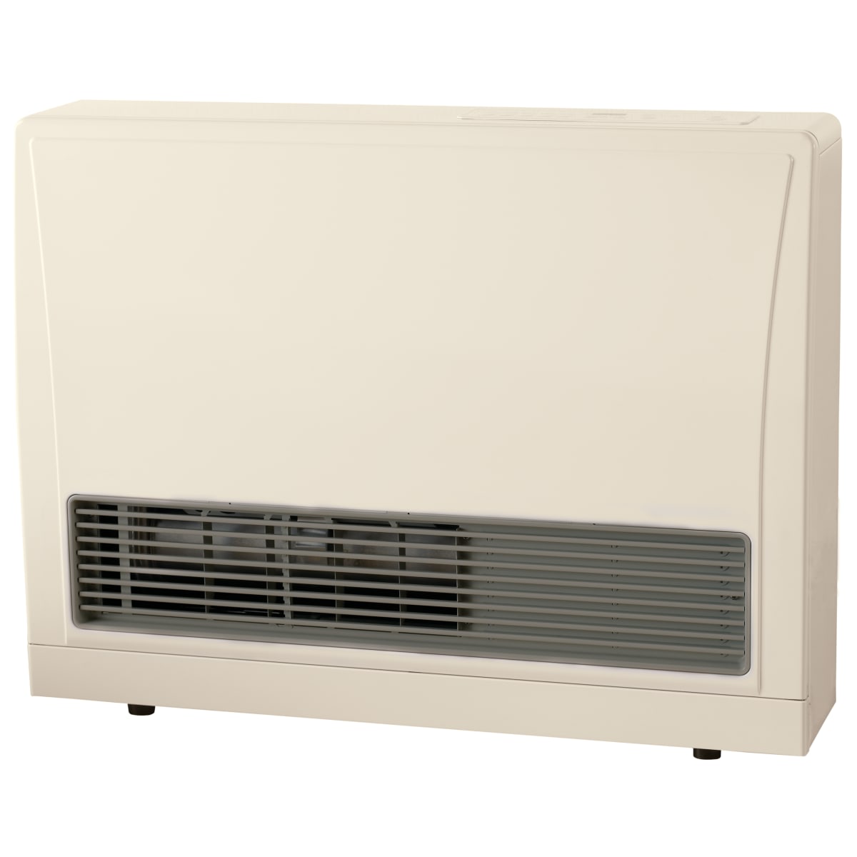 Rinnai EX22DTWN White 21,500 BTU Energy Star Certified Natural Gas Heater -  VentingPipe.com