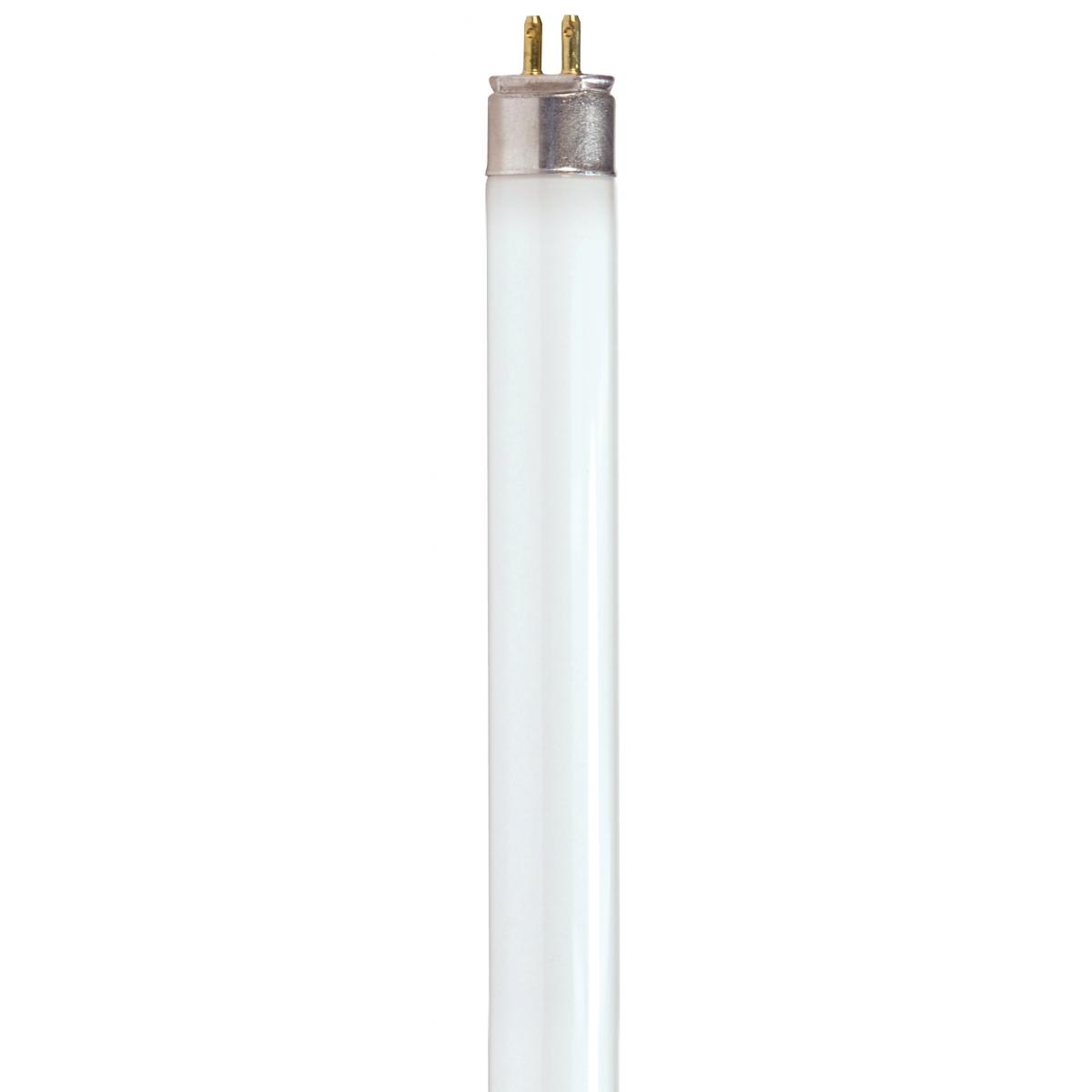 t5 48 inch bulbs