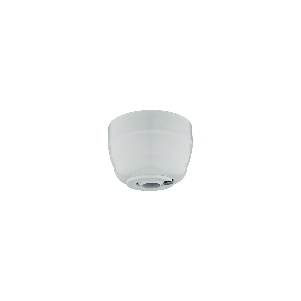 Westinghouse 70029