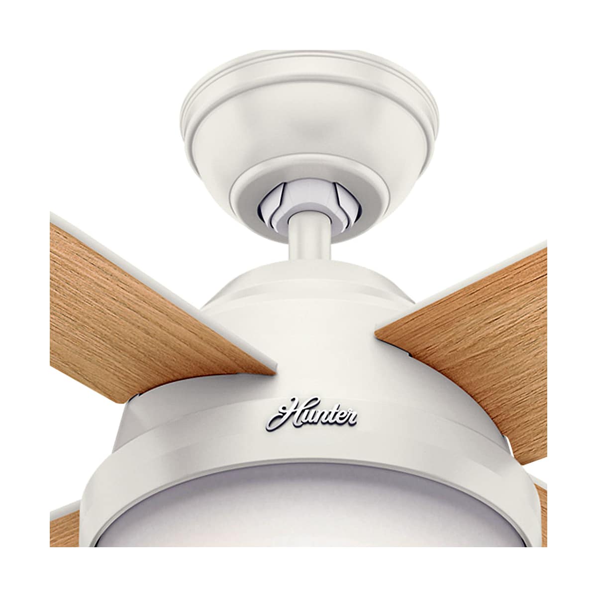 Tools & Home Improvement Lighting & Ceiling Fans Hunter Fan Company