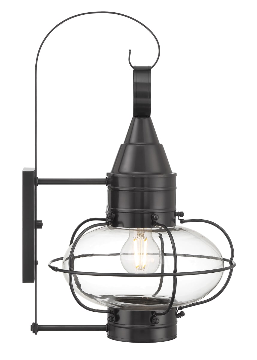 Black outdoor onion deals lights