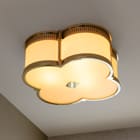 Ceiling Fixtures