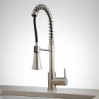 Kitchen Faucets