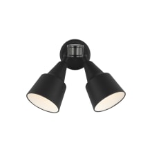 Journeyman floodlight on sale