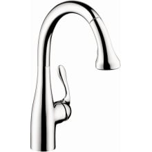 Hansgrohe 04216000 Talis C 1.75 GPM Pull-Down | Build.com