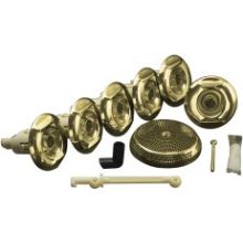 Kohler K-9698-45 Wild Rose Eight Jet Trim Kit for Flexjet