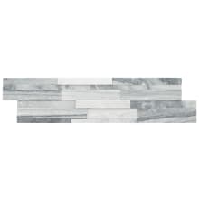 MSI Cosmic Gray 3D Ledger Panel 6 in. x 24 in. Honed Marble Wall