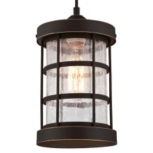 Westinghouse 6361500 Barkley Single 