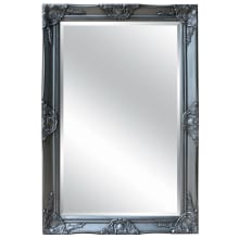 Modern 59" x 23-5/8" Framed Accent Mirror