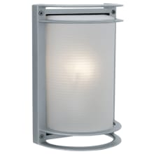 Nevis 11" Tall LED Wall Sconce
